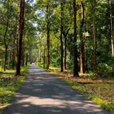 Kannavam Forest Kannur 